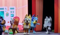 Una fiesta de pelos: Bluey y su familia la rompieron en Bogotá - Noticias de Bogotá y Cundinamarca