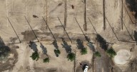 The L.A. wildfire cleanup was fast. Residents eager to rebuild worry officials chose speed over safety