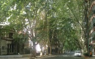 Propiedades. Quién se encarga de arreglar la vereda rota del frente de la casa