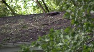 Contractor pleads guilty to damaging roof as part of hail damage insurance claim