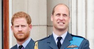 Prince Harry's Ukraine visit 'enrages' Prince William after 'offer refused' amid royal feud