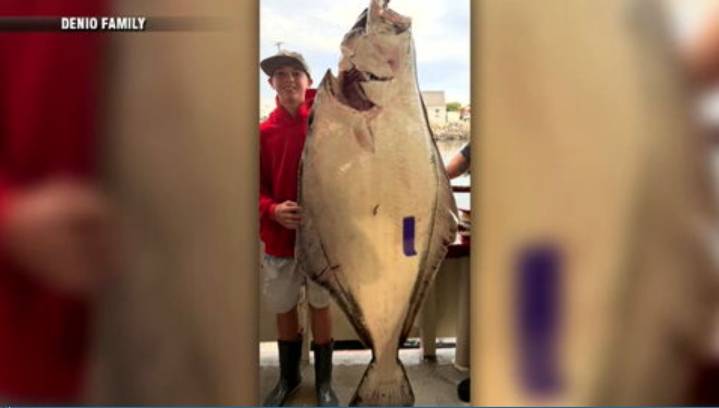 Young man and the sea: Teen fishing off New England coast catches huge halibut bigger than him