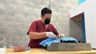 Gobierno de Mazatlán esterilizará de forma gratuita perros y gatos al Parque Central