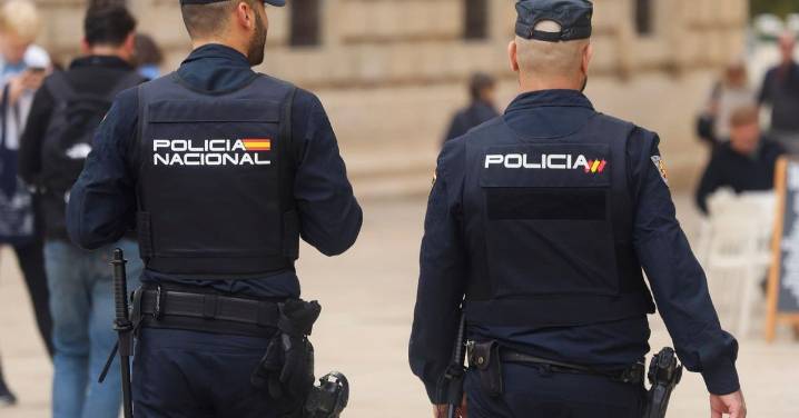 Málaga, pieza clave en el golpe a una red que ocultaba cocaína en maquinaria industrial