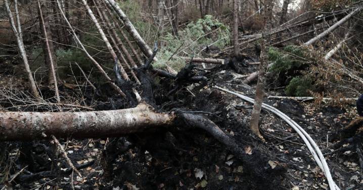 Long Lake wildfire: West Dalhousie, N.S., state of emergency extended