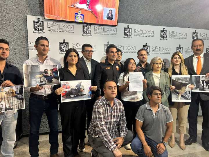 Piden a Medio ambiente fortalecer áreas de bienestar animal