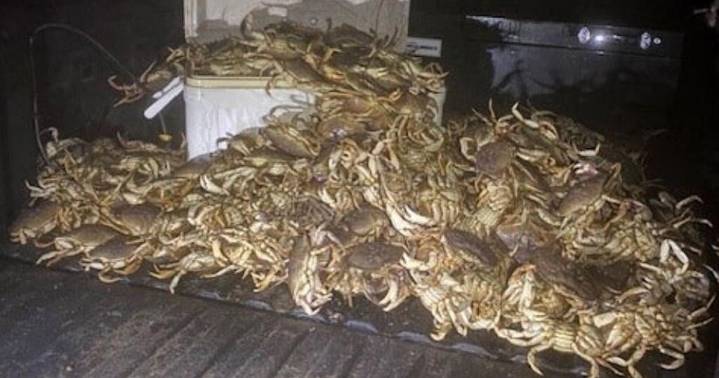 15 cited for illegal crabbing off Thornton Beach near San Francisco over Labor Day weekend