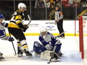 Brantford Bulldogs blast Sudbury Wolves 7-2 | The West Elgin Chronicle