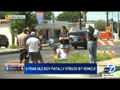 3-year-old fatally struck after running into street