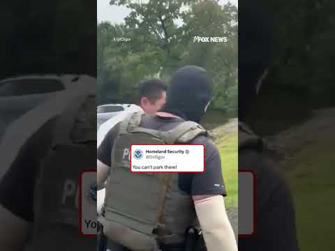SEE IT: ICE and DHS react to an anti-ICE protester who forgot to put her car in park #shorts #usa