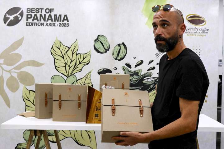Empresa de Dubái recoge 20 kilos de café de lujo que compró en Panamá por 600.000 dólares