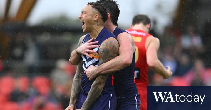 AFL Finals 2025: Fremantle Dockers buoyed by final forecast