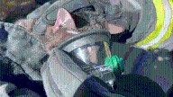 Watch: Cats receive oxygen from medical crews after fire in Jefferson County