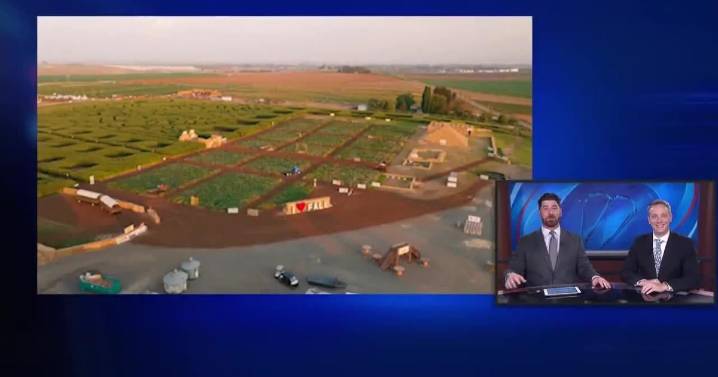 Middleton Farms unveils LEGO-themed corn maze for 2025