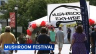 Community celebrates 40th annual Kennett Square Mushroom Festival