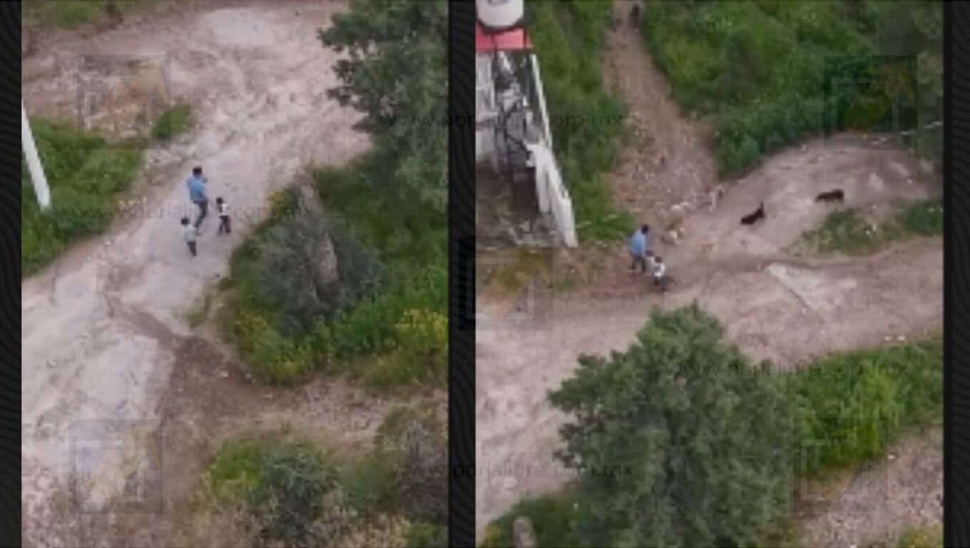 Difunden video del ataque de una jauría de perros sufrido por un papá y sus dos hijos en Creel