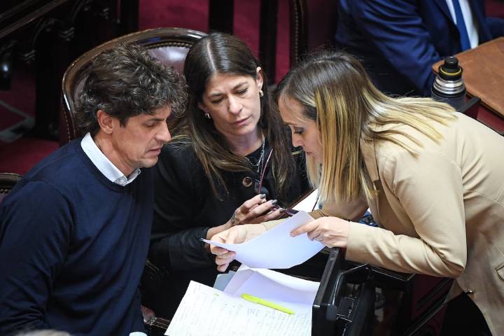Otra sesión tensa para el Gobierno: el Senado se encamina a rechazar hoy el veto de Milei a la ley de Discapacidad