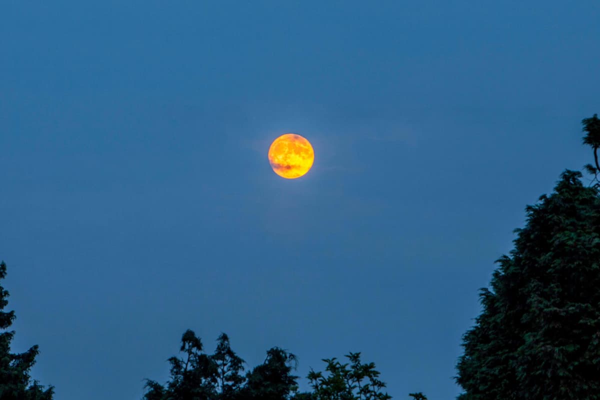 How to view the rare total lunar eclipse in London this weekend