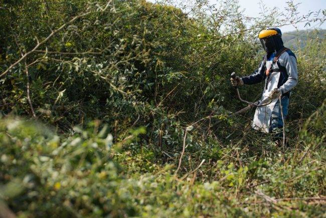 Alcaldía de Valledupar liderará Caminata Ambiental en el Día Mundial de la Limpieza