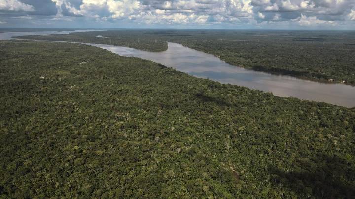 La Comisión Europea propondrá aplazar hasta 2026 la entrada en vigor de la ley contra la deforestación