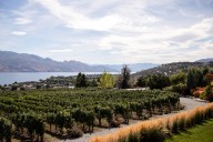 Whether you’re savouring the last of summer or rushing into autumn, there’s a wine for that