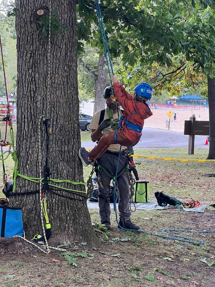 Up a tree: Climbing competition coming to Forest Park