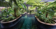 Hoteles en Caldas: vea las perlas turísticas de empresas que tuvieron ingresos de $39 mil millones en el 2024