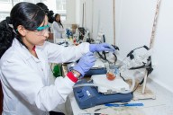 Planes y Acuerdos Estratégicos Departamentales en Ciencia, Tecnología e Innovación (PAEDs)