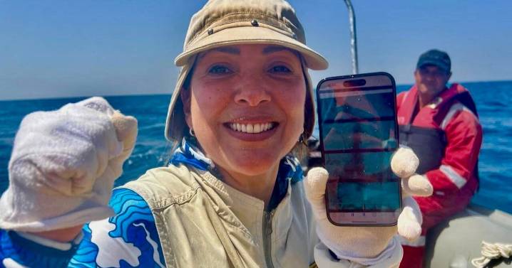 Quest for Queen Cleopatra's lost tomb reveals a sunken ancient Egyptian harbor