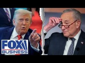 'EMBARRASSING': Schumer's 'silly' offer to avoid government shutdown revealed