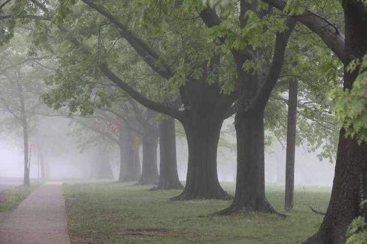 Central Pa. under a dense fog advisory before rain moves in today