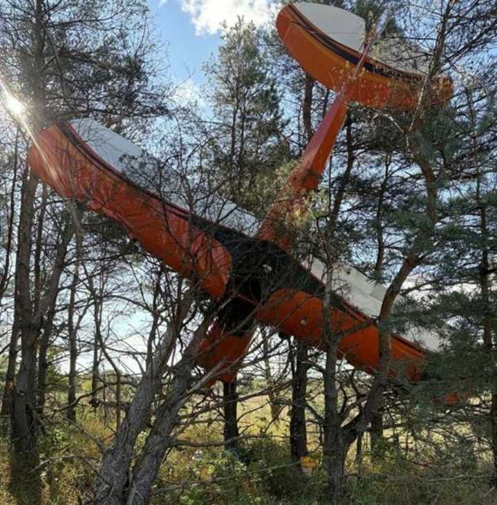Plane crashes nose-down into trees in Manistee County