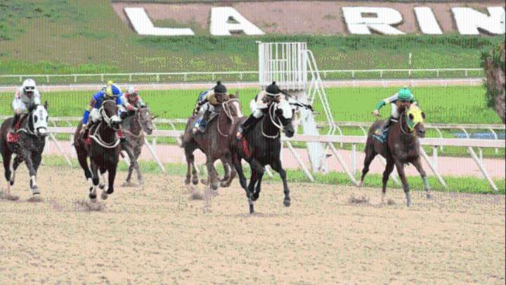 INH: Resultados del Hipódromo La Rinconada, domingo 31