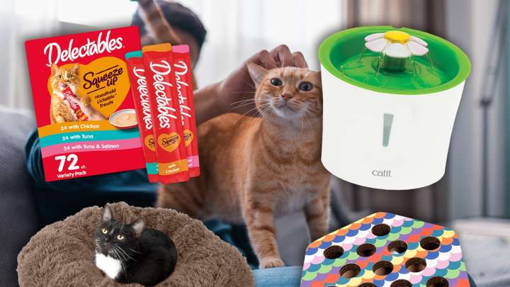 Amazon Cat Week Deals to Spoil Your Feline Friend