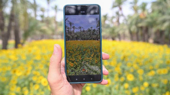 Geointeligencia para crear el gemelo digital del Palmeral de Elche