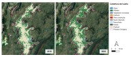 Chingaza se llena de árboles, Bogotá se queda sin agua