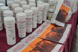Presente Huatulco en reunión informativa para prevenir propagación del gusano barrenador