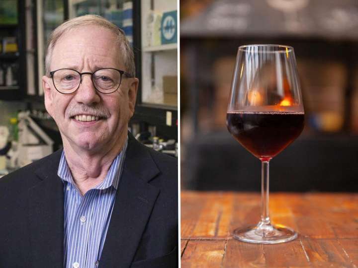 A longevity researcher says everyone's too obsessed with living forever. Here are his 2 anti
