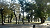 Mañana fresca, tarde templada: así estará el clima este sábado 6 de septiembre