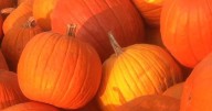 Lillian Desmarias Youth Library Hosting Annual Pumpkin Decorating Contest