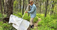 Tick tock: Ticks are migrating, raising disease risks across Montana