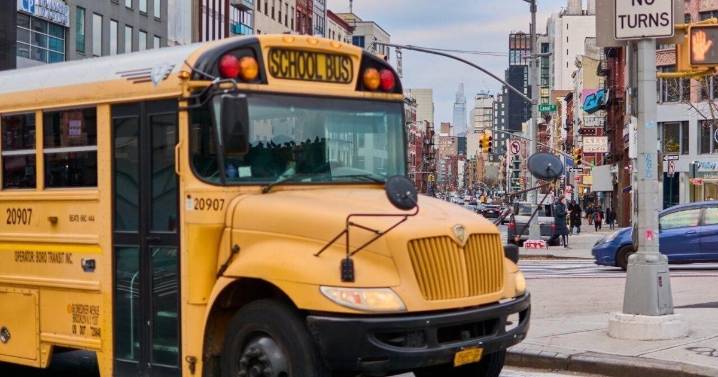 The untold story of the American school bus and why this icon still rules the road