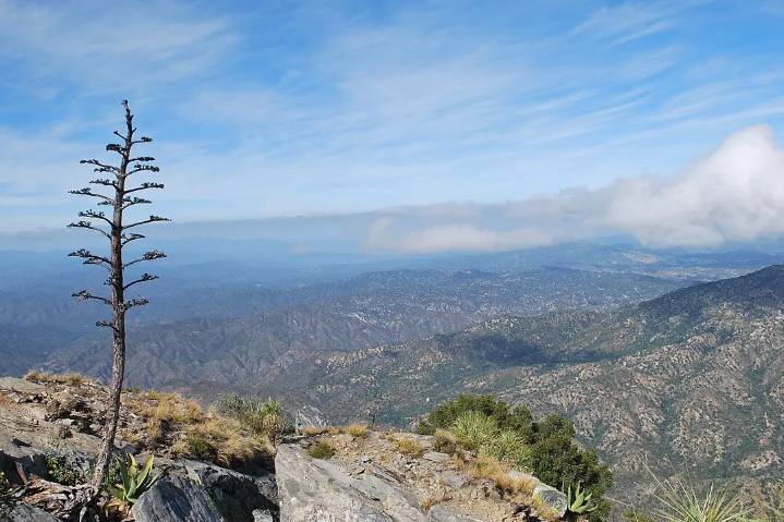La Sierra de la Laguna, la zona donde más lluvias caen en BCS