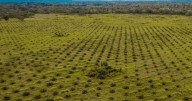 Víctima de las guerrillas y de políticas populistas: El caso de Hugues Rodríguez y la expropiación de su finca La América
