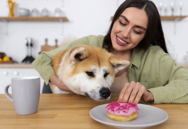 ¿Cómo podemos recuperar el equilibrio en la nutrición de las mascotas tras los cambios de rutina?