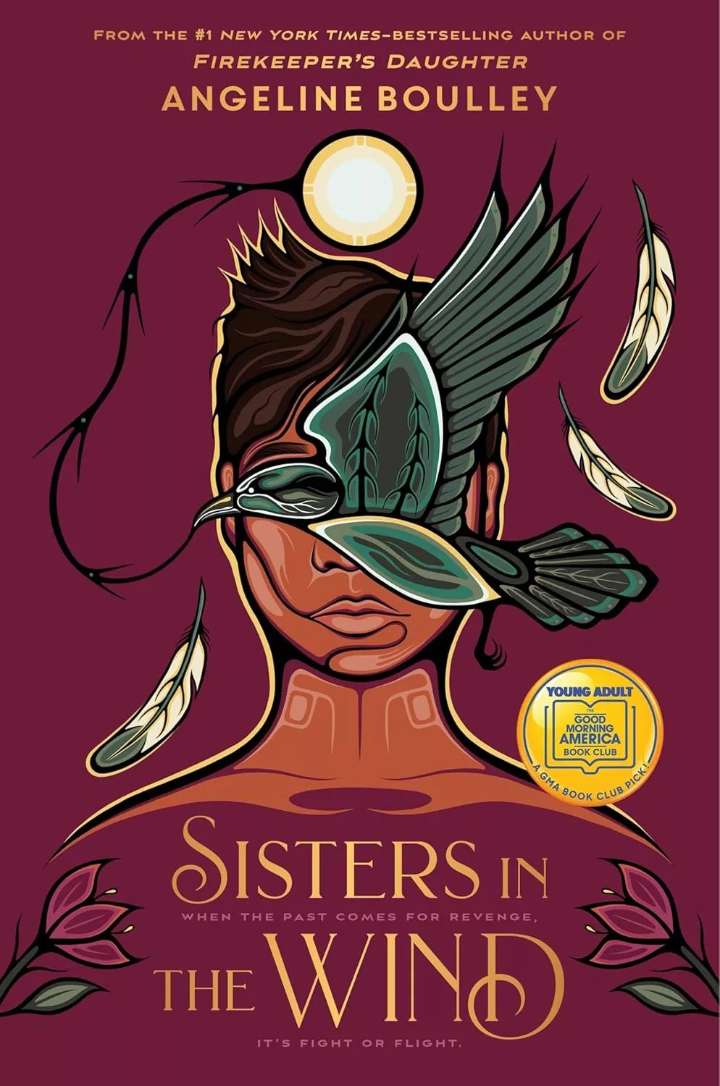 New teen thriller ‘Sisters in the Wind’ finds drama in hidden identities