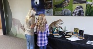 Learn about Utah’s nocturnal wildlife during an upcoming Hardware Wildlife Education Center exhibit
