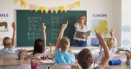 La educación en Castilla-La Mancha, estancada: STE reclama cambios urgentes en ratios, salarios y diversidad