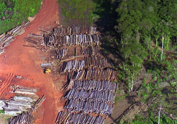 Suriname pledges to shield 90% of forests, far beyond global conservation goal