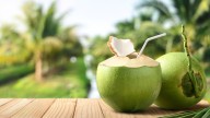 What Are Drinking Coconuts And How Are They Unique?